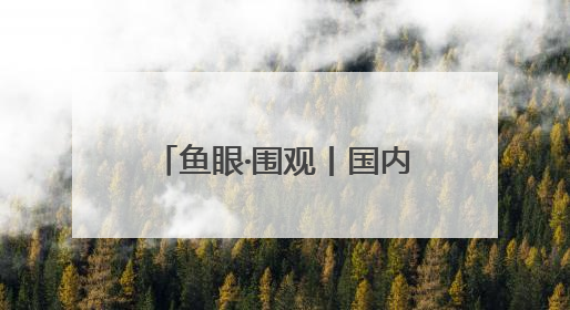 鱼眼·围观丨国内首个高考志愿大模型发布：AI填志愿，靠不靠谱？