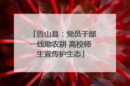 鲁山县：党员干部一线助农耕 高校师生宣传护生态