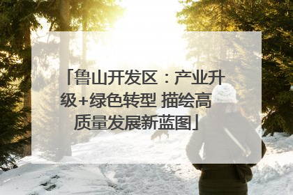 鲁山开发区：产业升级+绿色转型 描绘高质量发展新蓝图