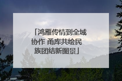 鸿雁传情到全域协作 甬库共绘民族团结新图景