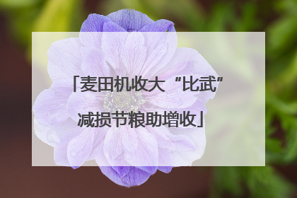 麦田机收大“比武” 减损节粮助增收