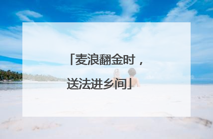 麦浪翻金时，送法进乡间