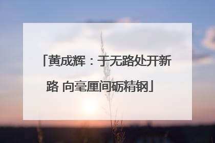 黄成辉：于无路处开新路 向毫厘间砺精钢