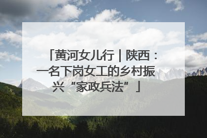 黄河女儿行｜陕西：一名下岗女工的乡村振兴“家政兵法”