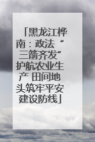 黑龙江桦南：政法“三箭齐发”护航农业生产 田间地头筑牢平安建设防线