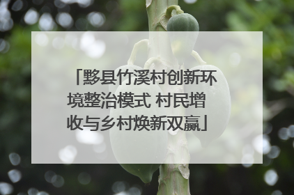 黟县竹溪村创新环境整治模式 村民增收与乡村焕新双赢