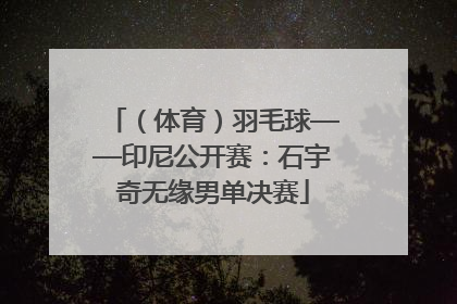 （体育）羽毛球——印尼公开赛：石宇奇无缘男单决赛