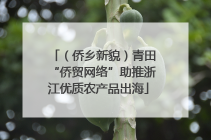 （侨乡新貌）青田“侨贸网络”助推浙江优质农产品出海