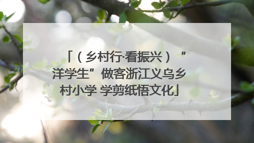 （乡村行·看振兴）“洋学生”做客浙江义乌乡村小学 学剪纸悟文化