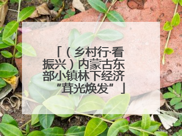 （乡村行·看振兴）内蒙古东部小镇林下经济“茸光焕发”