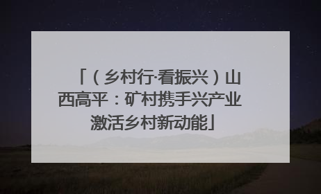 （乡村行·看振兴）山西高平：矿村携手兴产业 激活乡村新动能
