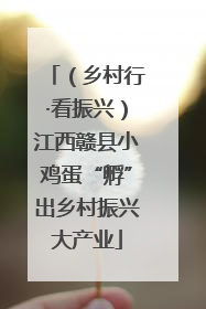 （乡村行·看振兴）江西赣县小鸡蛋“孵”出乡村振兴大产业
