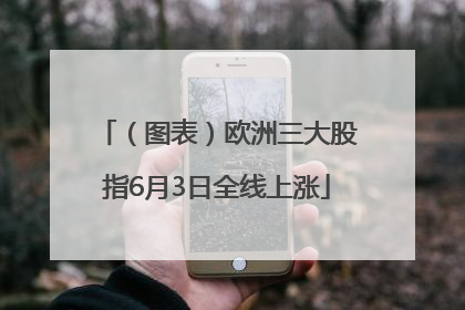 （图表）欧洲三大股指6月3日全线上涨