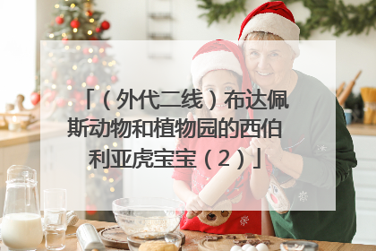 （外代二线）布达佩斯动物和植物园的西伯利亚虎宝宝（2）