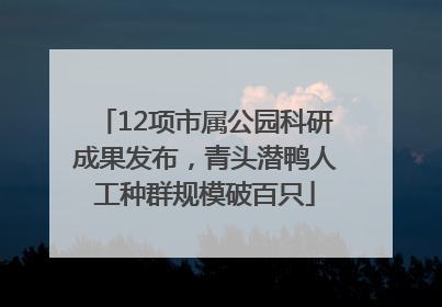 12项市属公园科研成果发布，青头潜鸭人工种群规模破百只