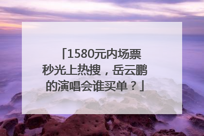 1580元内场票秒光上热搜，岳云鹏的演唱会谁买单？