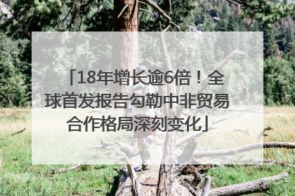18年增长逾6倍！全球首发报告勾勒中非贸易合作格局深刻变化