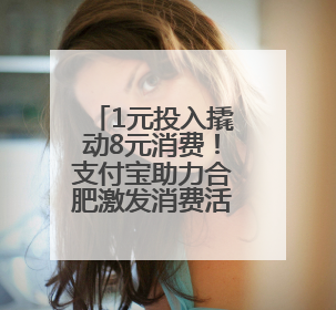 1元投入撬动8元消费！支付宝助力合肥激发消费活力