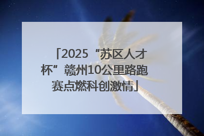 2025“苏区人才杯”赣州10公里路跑赛点燃科创激情