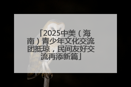 2025中美（海南）青少年文化交流团抵琼，民间友好交流再添新篇