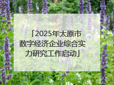 2025年太原市数字经济企业综合实力研究工作启动