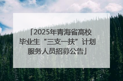 2025年青海省高校毕业生“三支一扶”计划服务人员招募公告