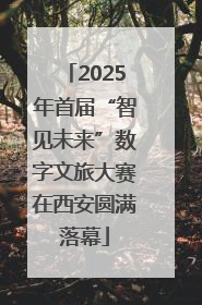 2025年首届“智见未来”数字文旅大赛在西安圆满落幕
