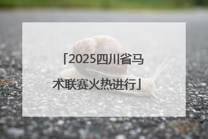 2025四川省马术联赛火热进行