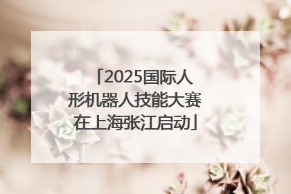 2025国际人形机器人技能大赛在上海张江启动