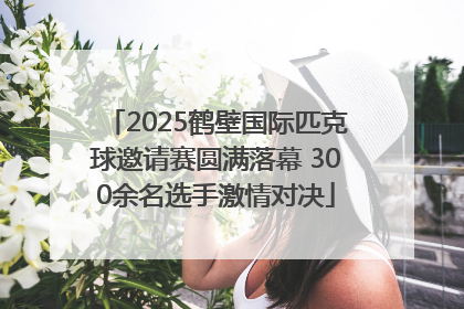 2025鹤壁国际匹克球邀请赛圆满落幕 300余名选手激情对决