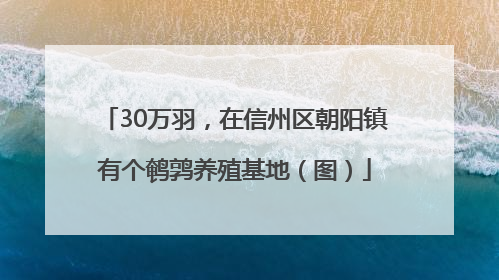 30万羽，在信州区朝阳镇有个鹌鹑养殖基地（图）