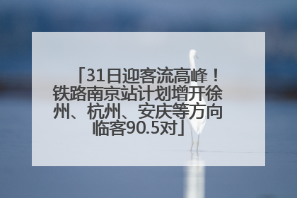 31日迎客流高峰！铁路南京站计划增开徐州、杭州、安庆等方向临客90.5对