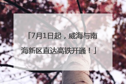 7月1日起，威海与南海新区直达高铁开通！