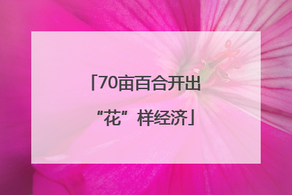 70亩百合开出“花”样经济