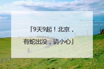 9天9起！北京，有蛇出没，请小心