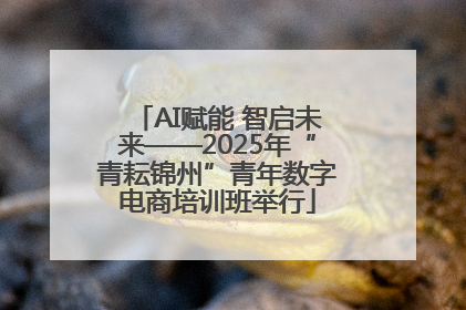 AI赋能 智启未来——2025年“青耘锦州”青年数字电商培训班举行