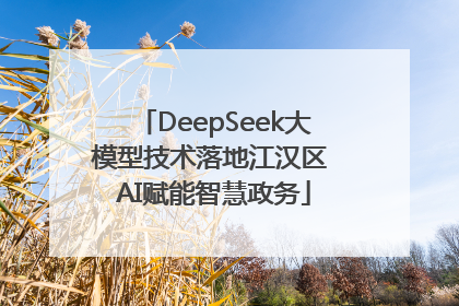 DeepSeek大模型技术落地江汉区 AI赋能智慧政务
