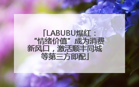 LABUBU爆红：“情绪价值”成为消费新风口，激活顺丰同城等第三方即配