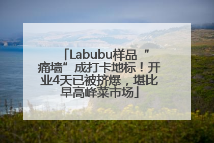 Labubu样品“痛墙”成打卡地标！开业4天已被挤爆，堪比早高峰菜市场