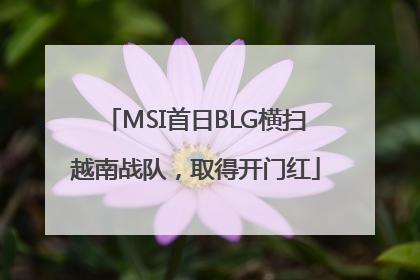 MSI首日BLG横扫越南战队，取得开门红