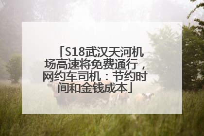 S18武汉天河机场高速将免费通行，网约车司机：节约时间和金钱成本